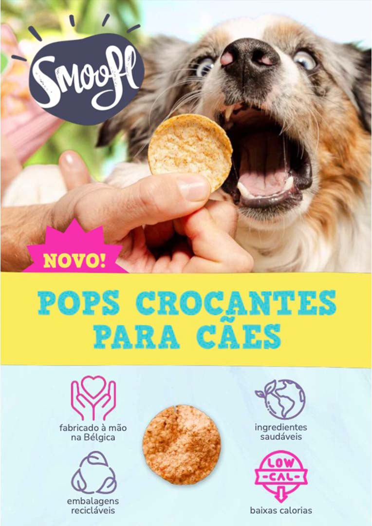 DOG POPS